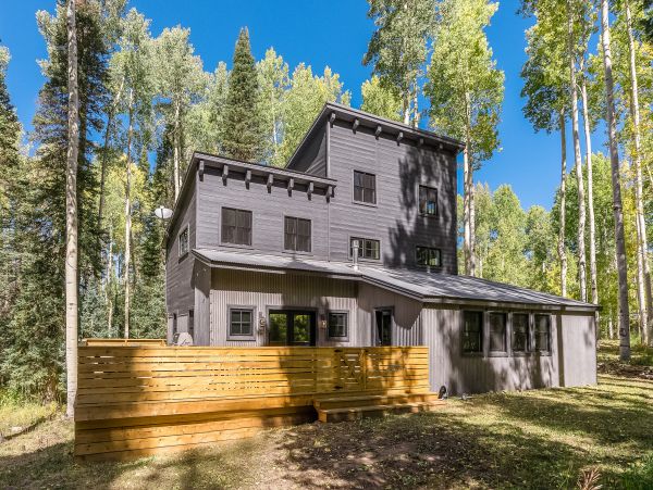 Telluride Home 1022196