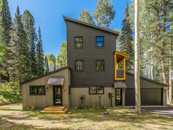Telluride Home 1022196