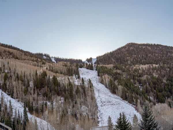 Telluride Home 1022197