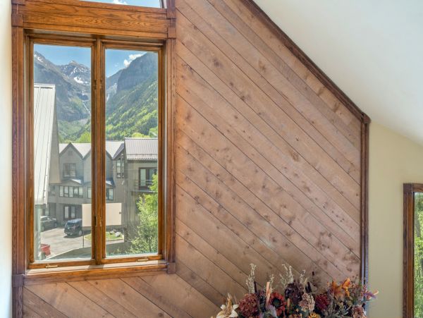 Telluride Home 1022198