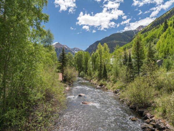 Telluride Home 1022198