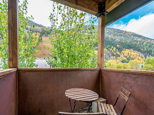 Telluride Home 1022199