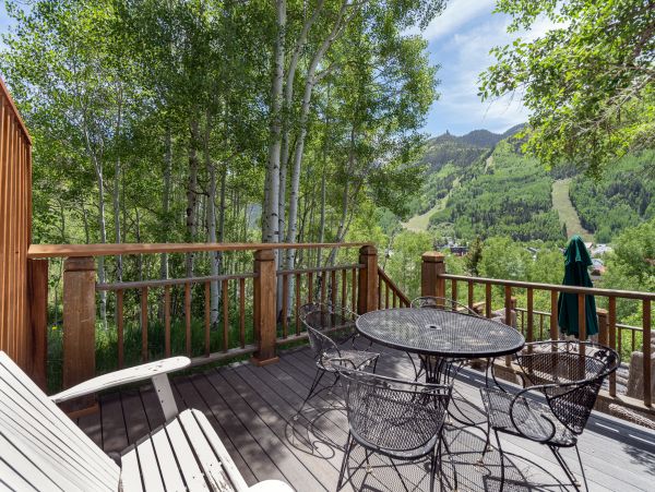 Telluride Home 1022202