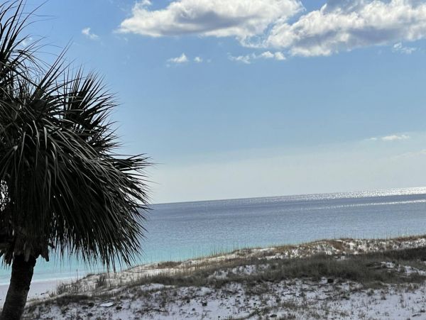 Okaloosa Island Fort Walton Beach Condo 1022222