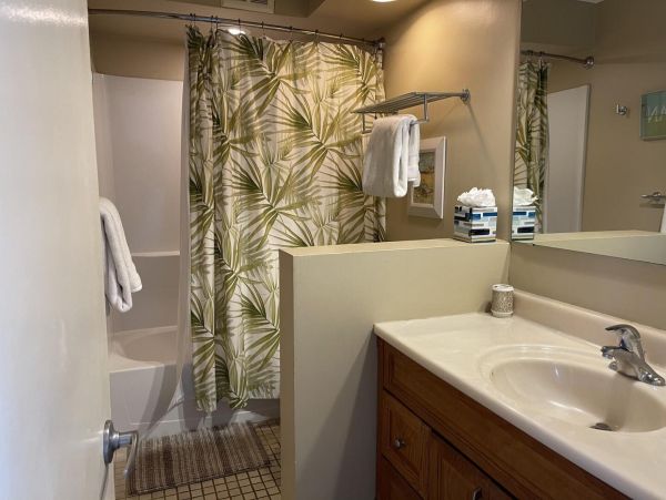 Wailea Home 1022252