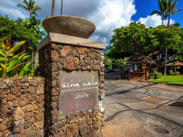 Kaanapali Home 1022267