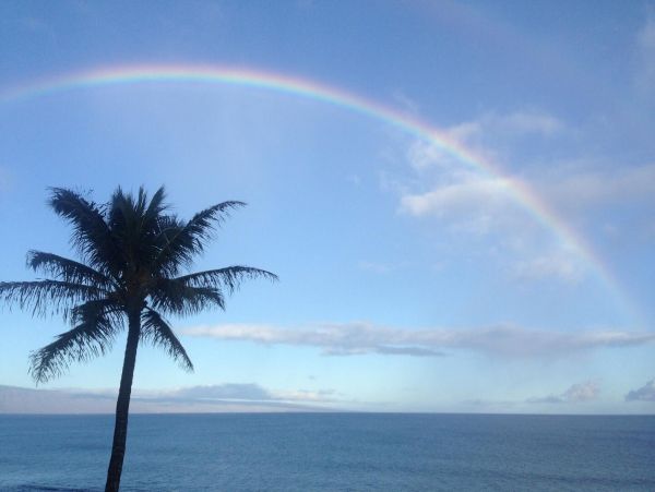 Kaanapali Home 1022270