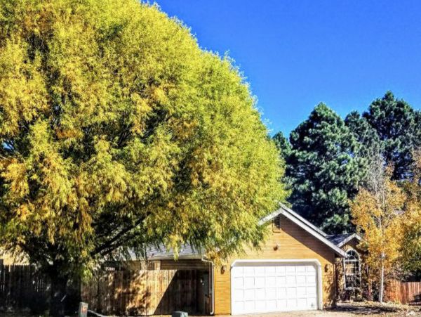 Flagstaff Home 1022286