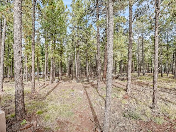 Flagstaff Home 1022295