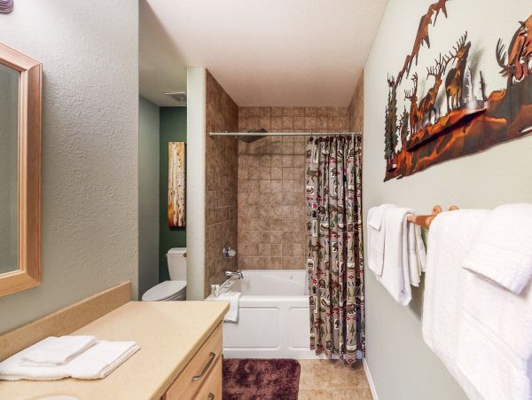 Flagstaff Home 1022297