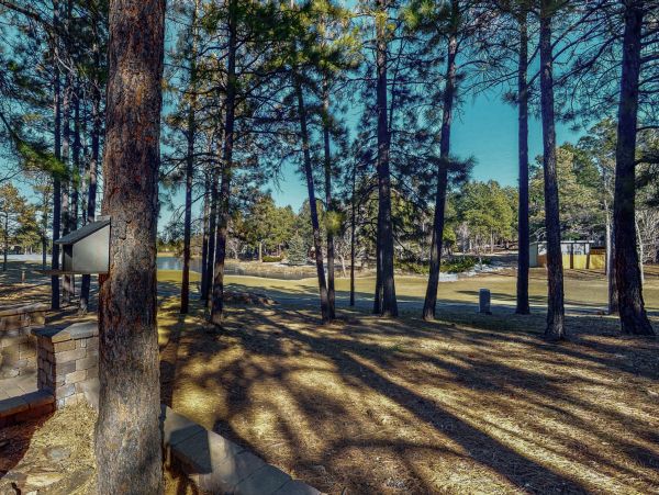 Flagstaff Home 1022297
