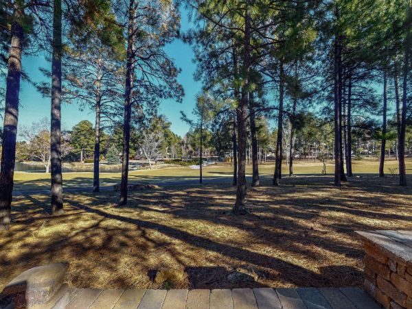 Flagstaff Home 1022297