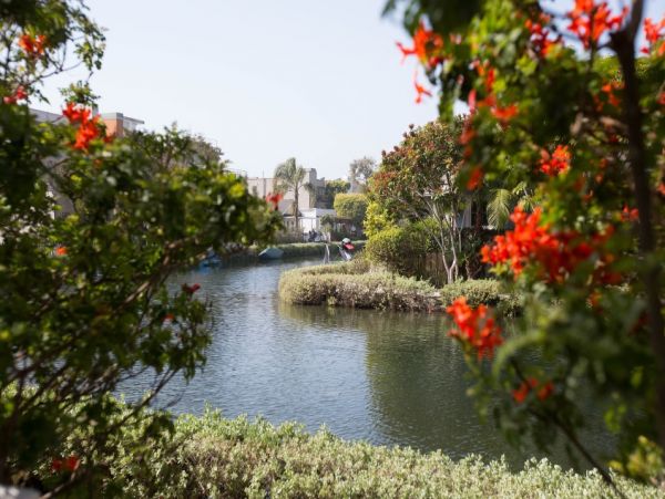 Charming Two Bedroom Home in Venice Beach