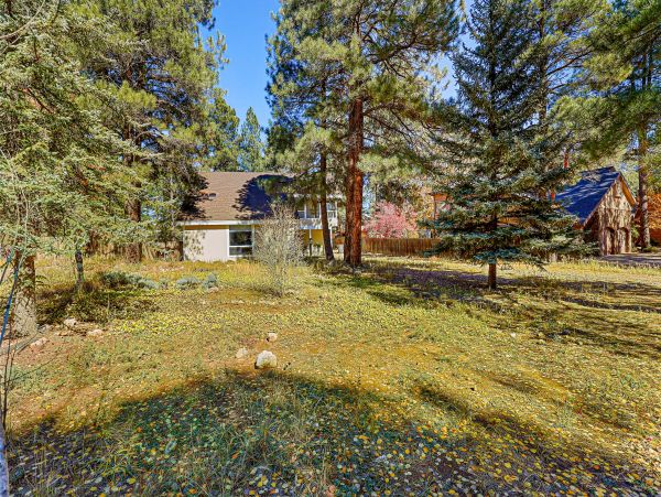 Flagstaff Home 1022327