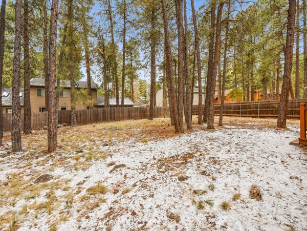 Flagstaff Home 1022332