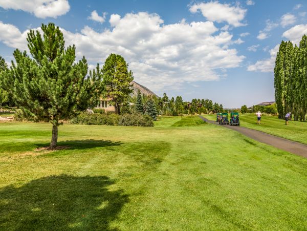 Flagstaff Home 1022339