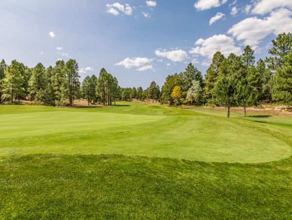 Flagstaff Home 1022339