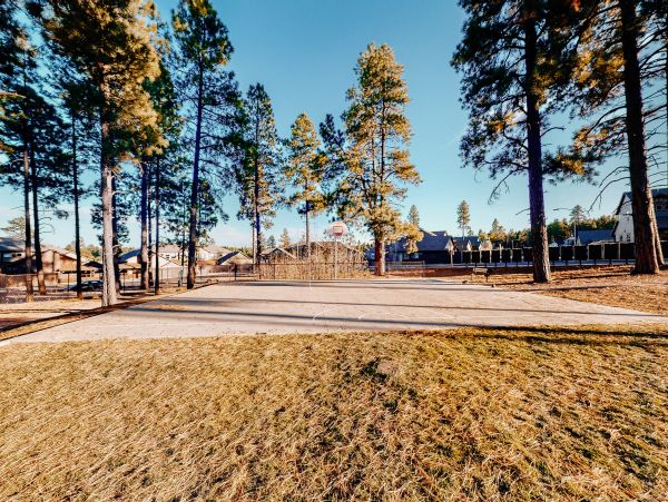 Flagstaff Home 1022342