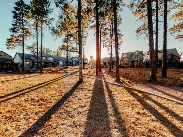 Flagstaff Home 1022342