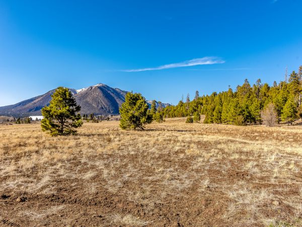 Flagstaff Home 1022346