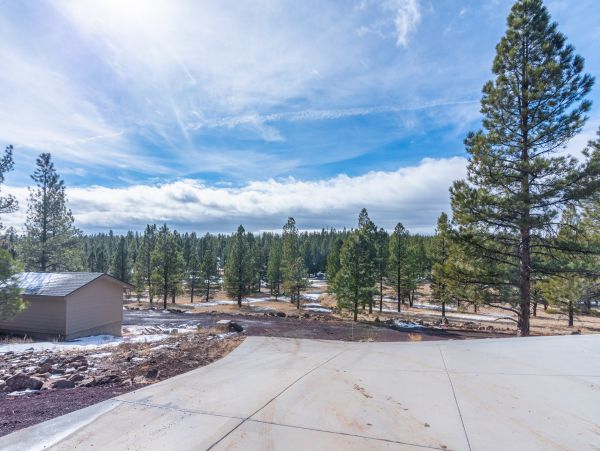 Flagstaff Home 1022353