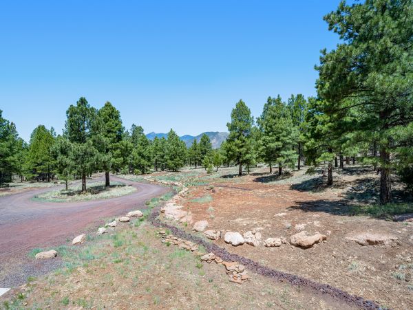 Flagstaff Home 1022354