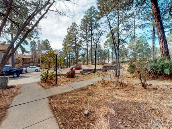 Flagstaff Home 1022356