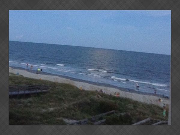 Isle Of Palms Condo 1022358