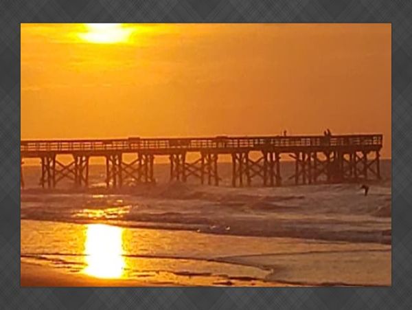 Isle Of Palms Condo 1022366