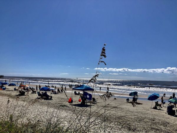 Isle Of Palms Condo 1022366