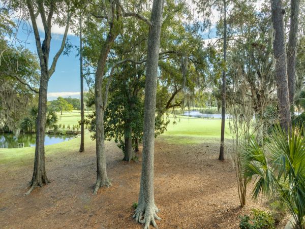 Hilton Head Condo 1022385