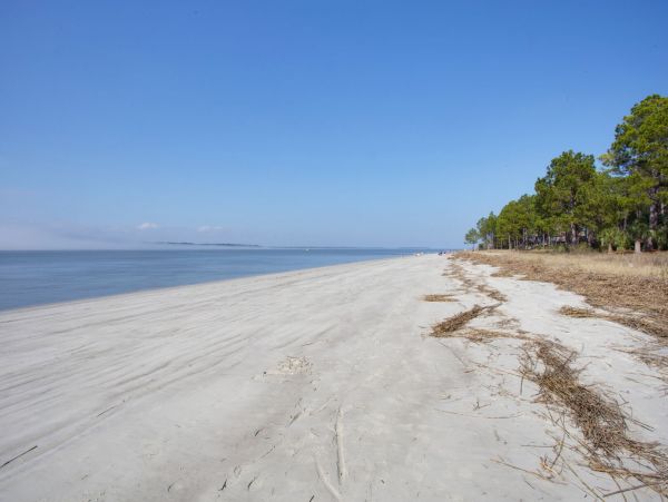 Hilton Head Home 1022387