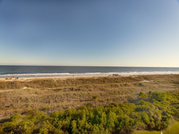 Hilton Head Condo 1022398