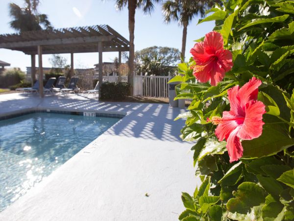 Hilton Head Condo 1022399