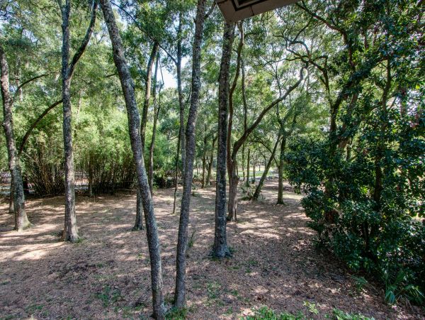 Hilton Head Condo 1022411