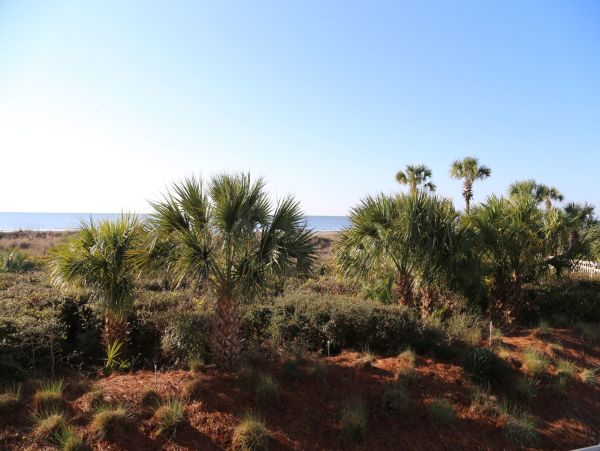 Hilton Head Condo 1022434