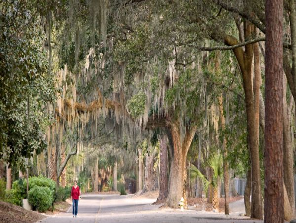 Hilton Head Condo 1022461
