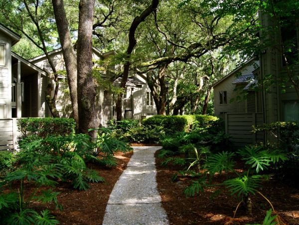 Hilton Head Condo 1022463