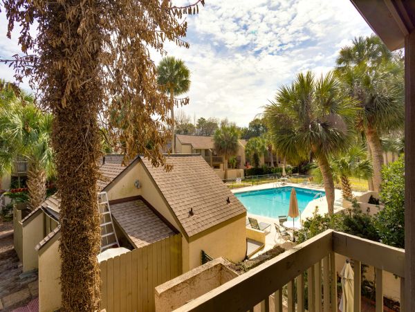 Hilton Head Condo 1022471