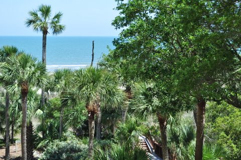 Hilton Head Condo 1022478