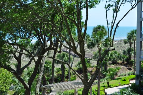 Hilton Head Condo 1022478