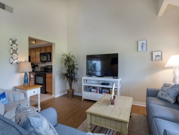 Hilton Head Condo 1022480