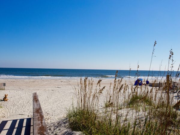 Hilton Head Condo 1022481