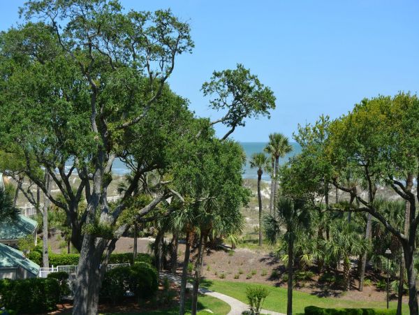 Hilton Head Condo 1022485