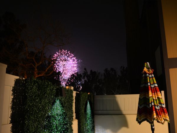 Anaheim Home 1022542