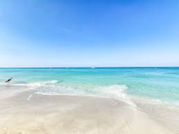 Luxury Gulf Front Condo with Stunning Views & Exceptional Amenities
