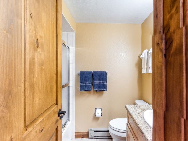 Vail Lionshead Home 1022595