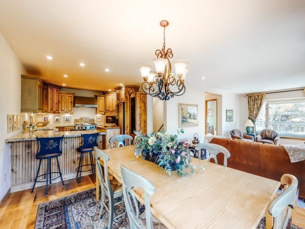 Vail Lionshead Home 1022596
