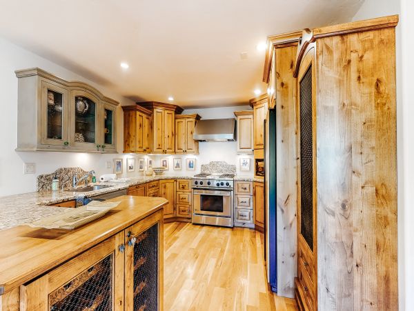Vail Lionshead Home 1022596