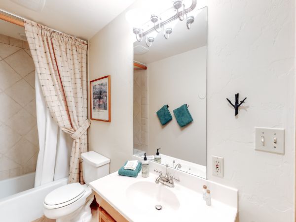 Vail Lionshead Home 1022596